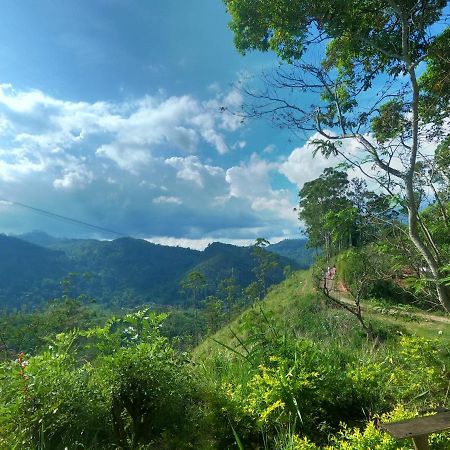Mountain Vibe Ella Apartman Kültér fotó